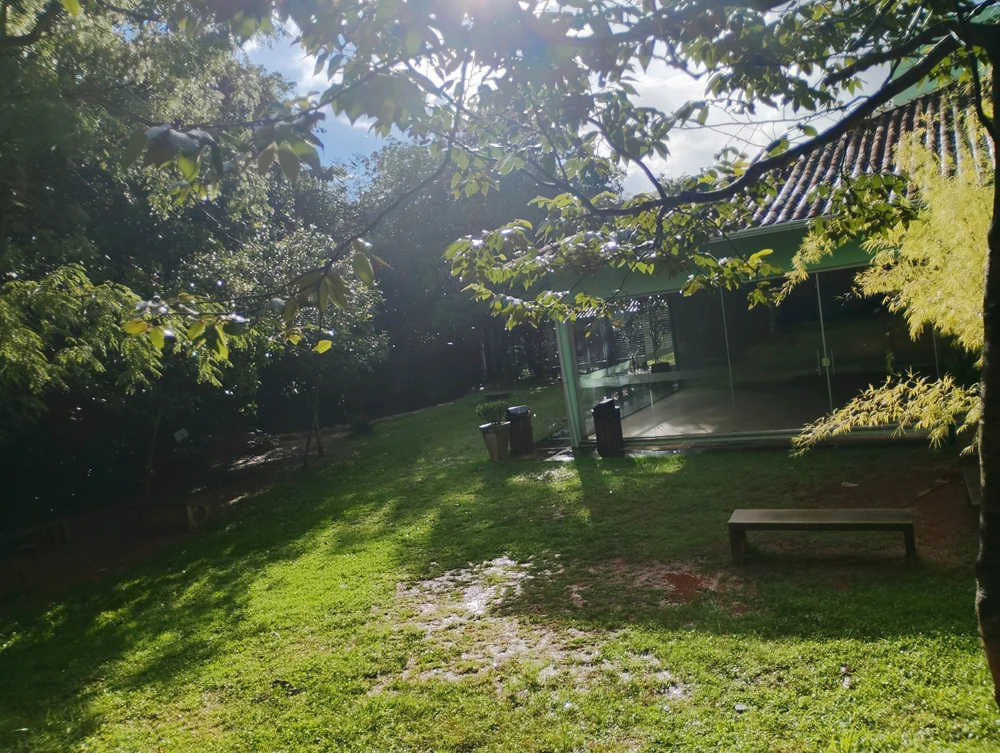 Felipe 上傳的 GIF