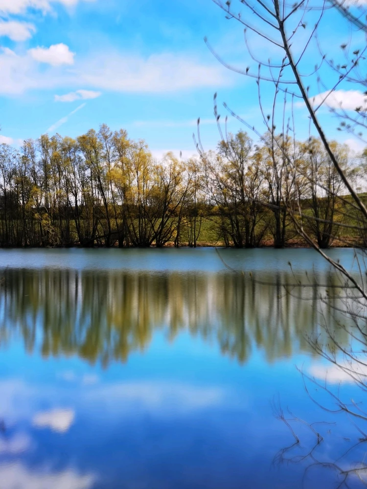 Image ajoutée par Aguir