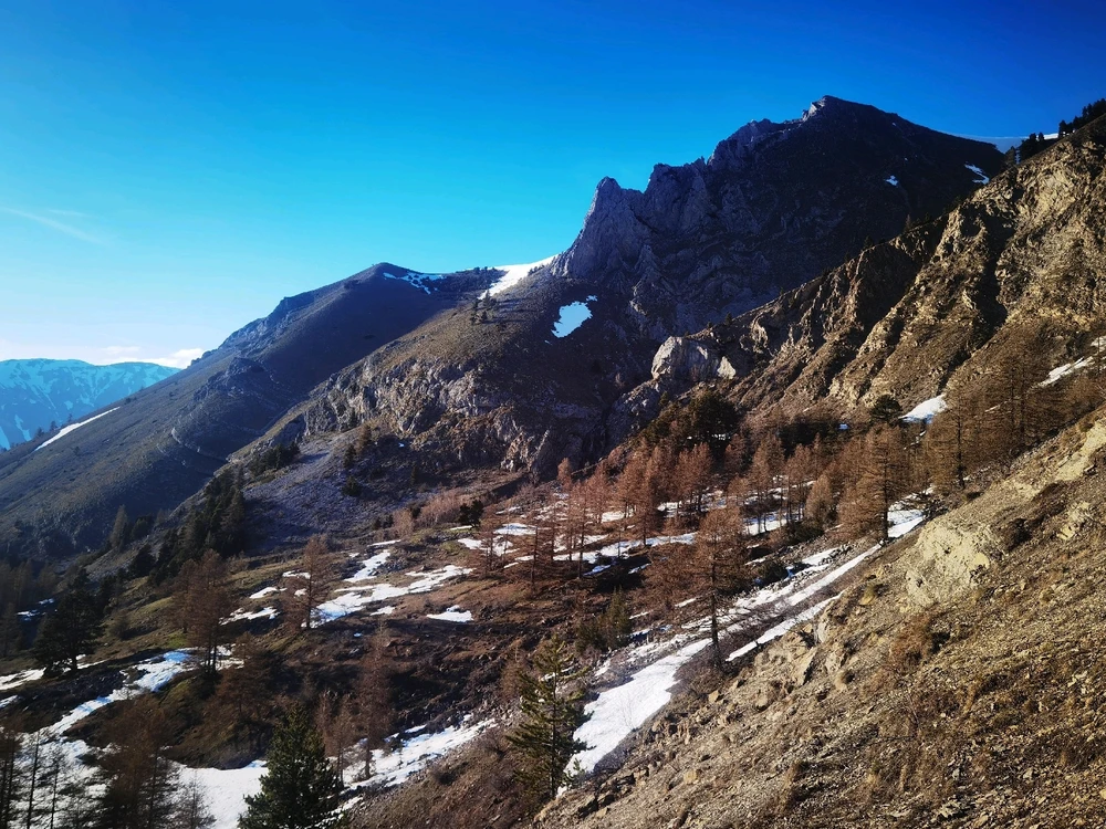 Image ajoutée par Aguir