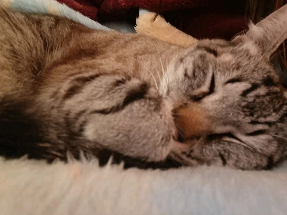GIF uploaded by Bea