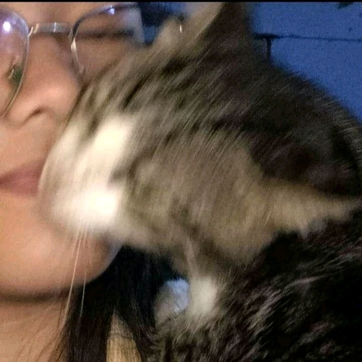 Kisses from my Bubba Rain (⁠｡⁠・⁠/⁠/⁠ε⁠/⁠/⁠・⁠｡⁠)