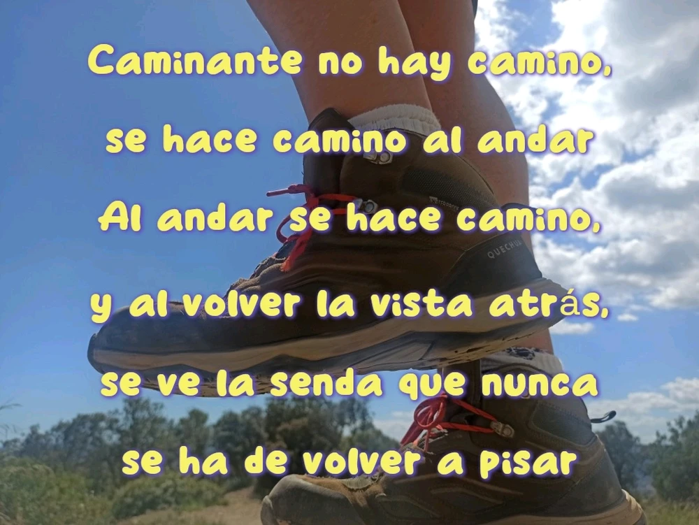 GIF subido por Mikel