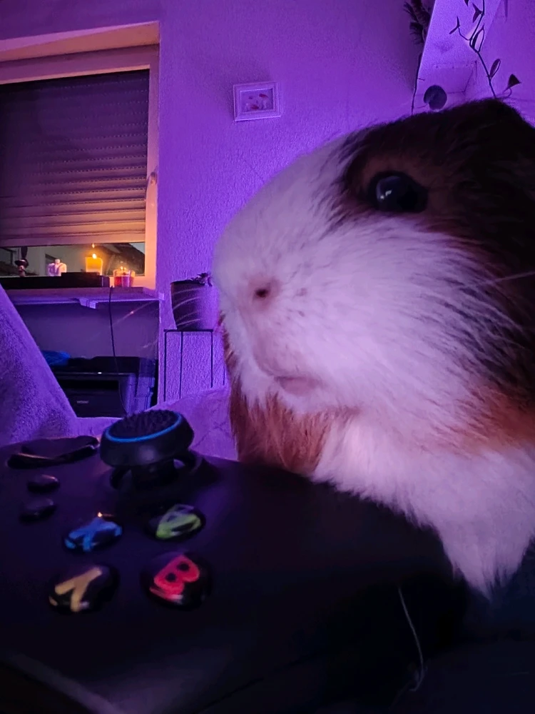 GIF hochgeladen von Sylvia