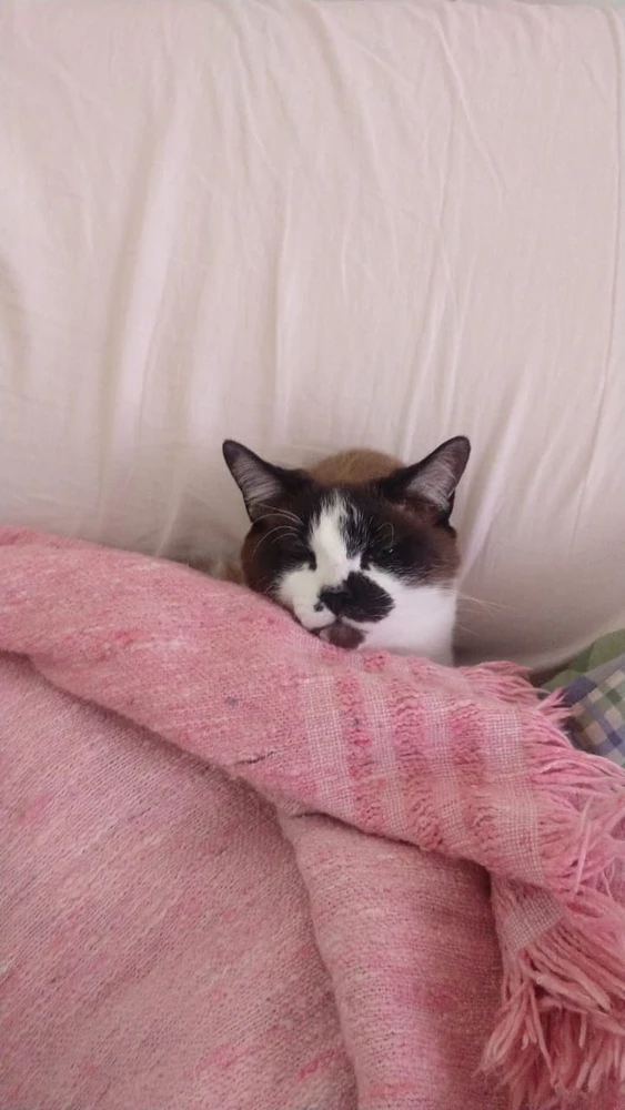 GIF subido por Marianella