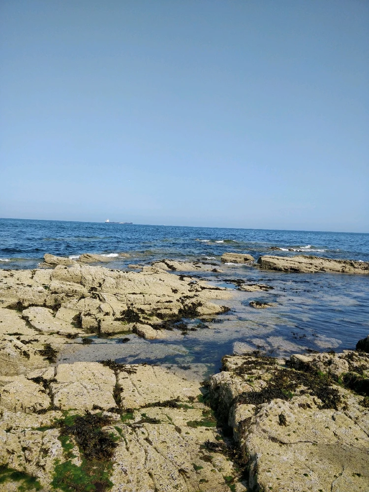 GIF uploaded by DezzieDee