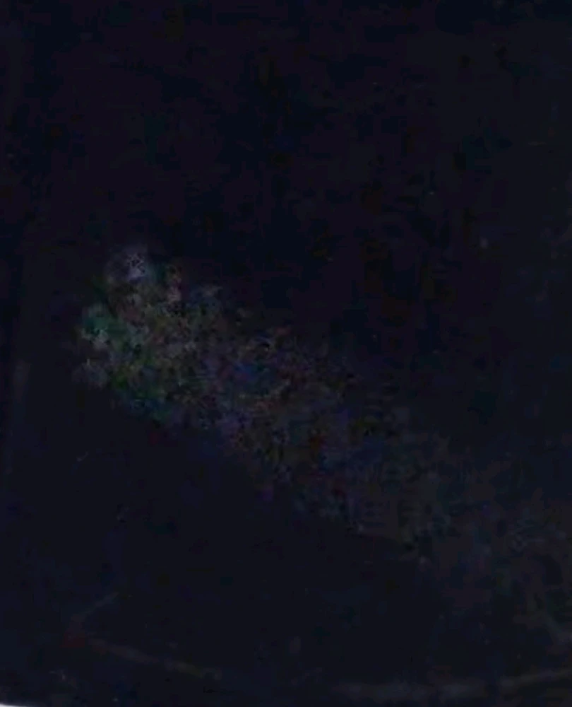 Image uploaded by Ever B