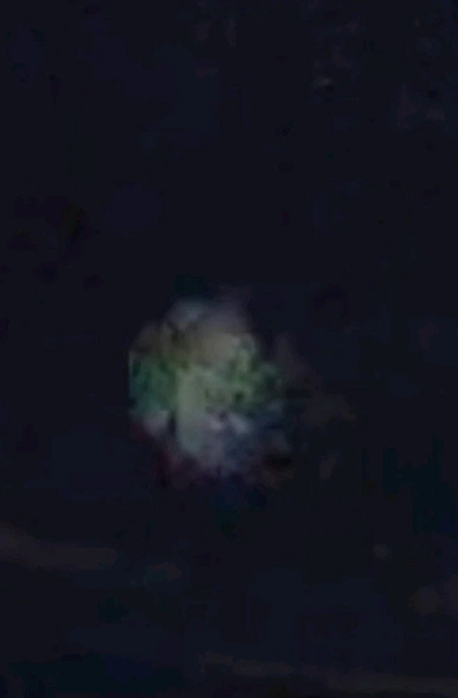 Image uploaded by Ever B