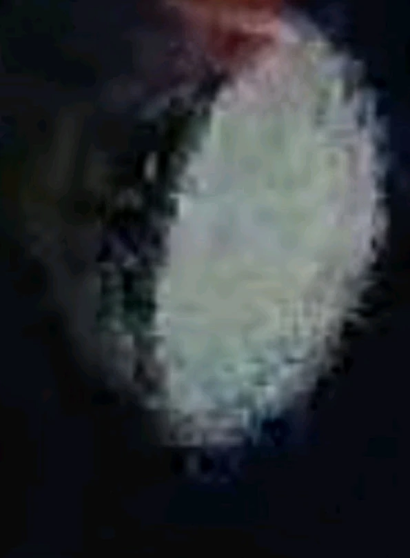 Image uploaded by Ever B