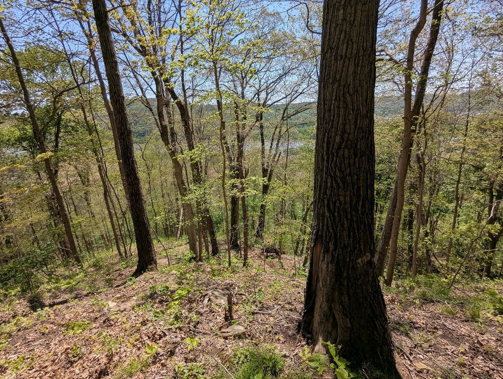 Image uploaded by Will
