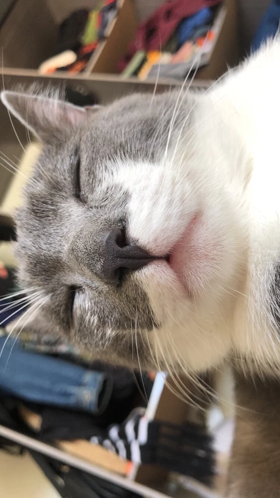 Leticia님이 올린 GIF