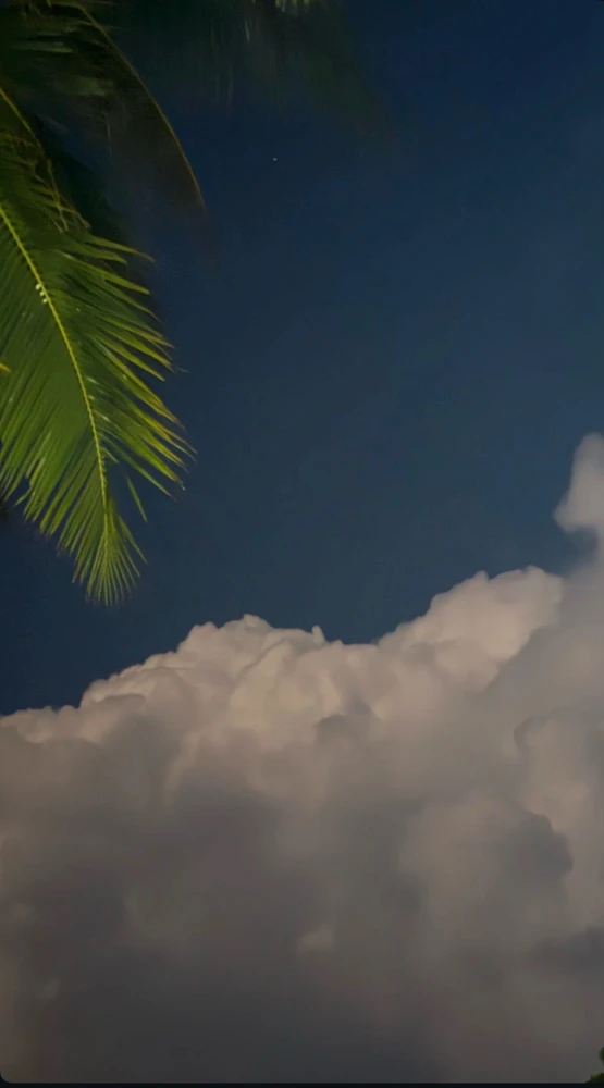 GIF uploaded by Zayan