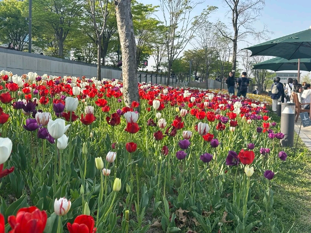 Image uploaded by Kunu
