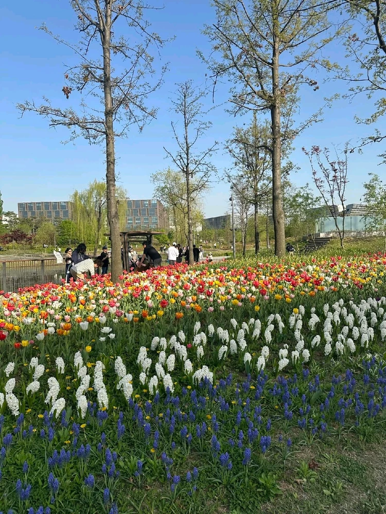 Image uploaded by Kunu
