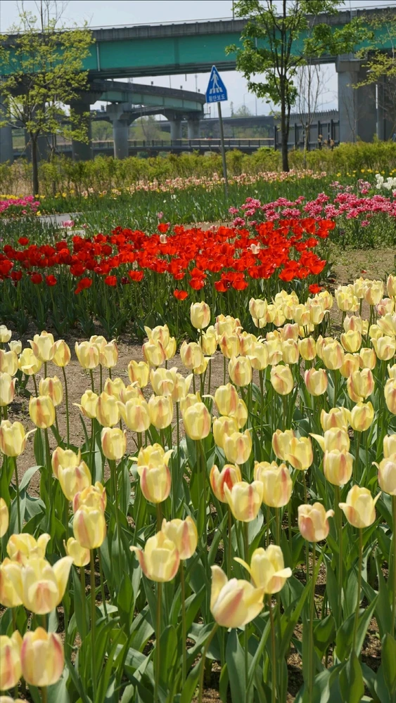 Image uploaded by Kunu