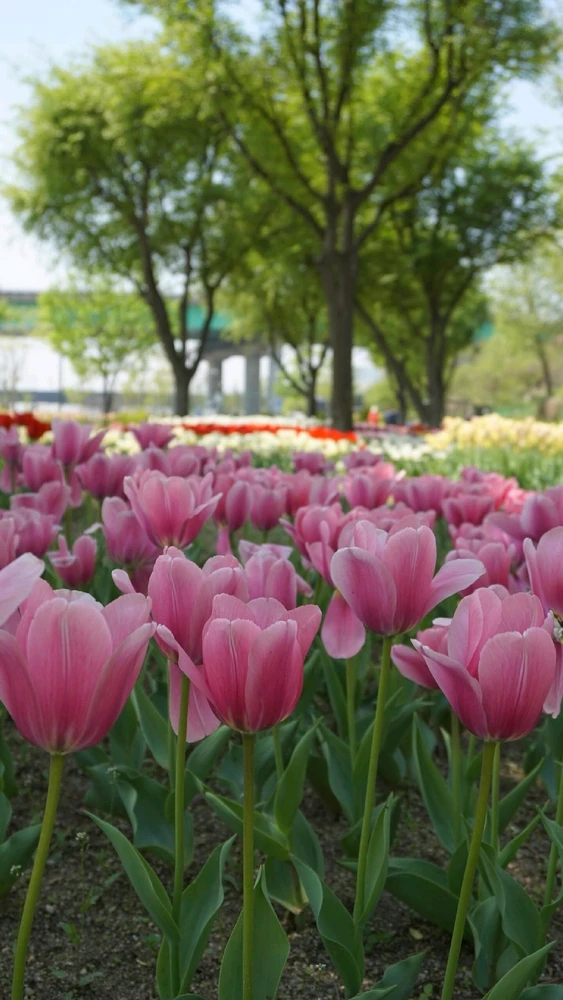 Image uploaded by Kunu