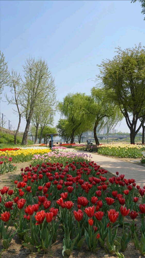 Image uploaded by Kunu