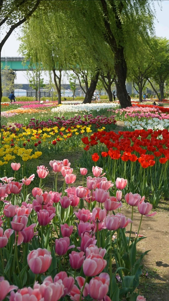 Image uploaded by Kunu