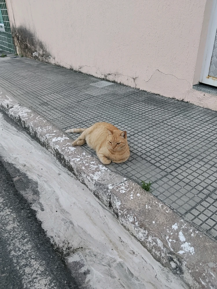 Imagem enviada por Eduardo Cerqueira