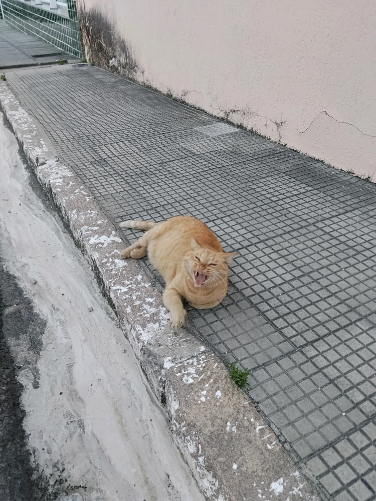 Imagem enviada por Eduardo Cerqueira