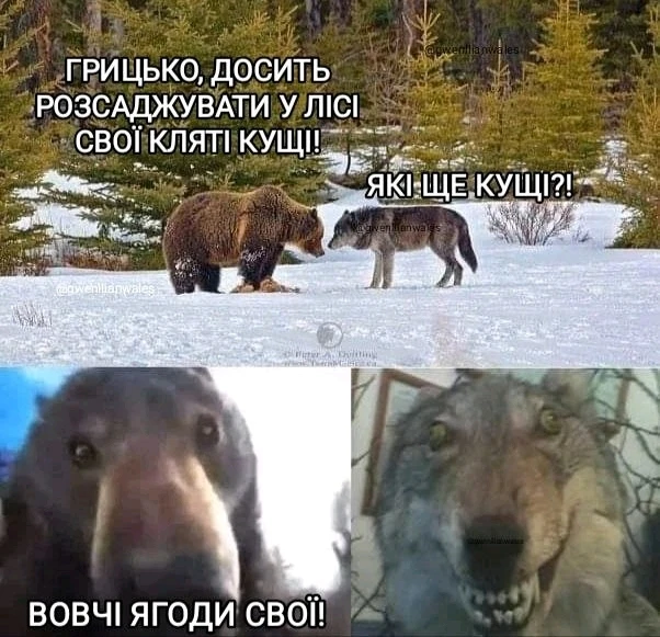 Гіфку завантажив Андрій