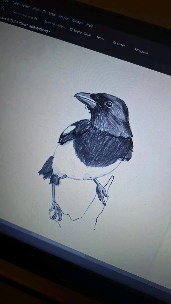 GIF subido por Pedro