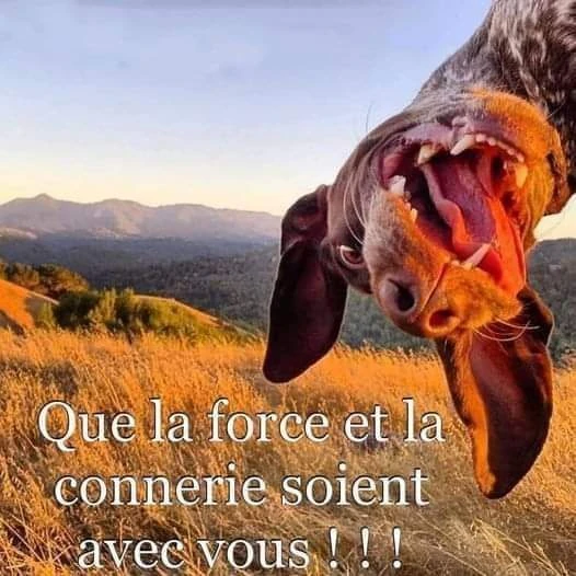 Image ajoutée par Dorian🐞