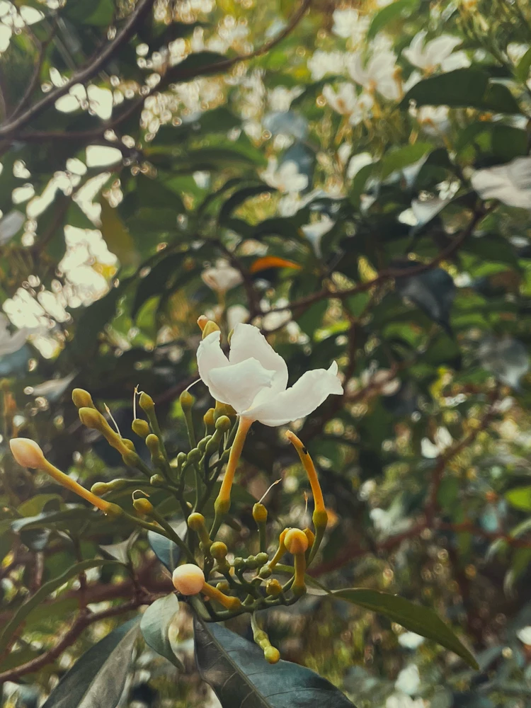 GIF uploaded by Ｎｉｇａｍ