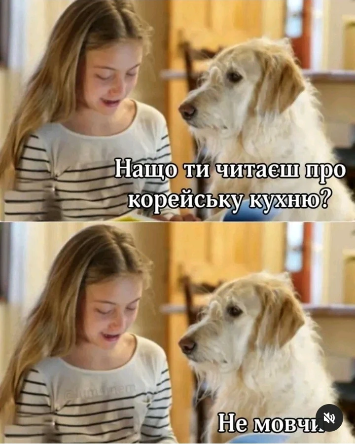 Гіфку завантажив Black Mirror (◔‿◔)