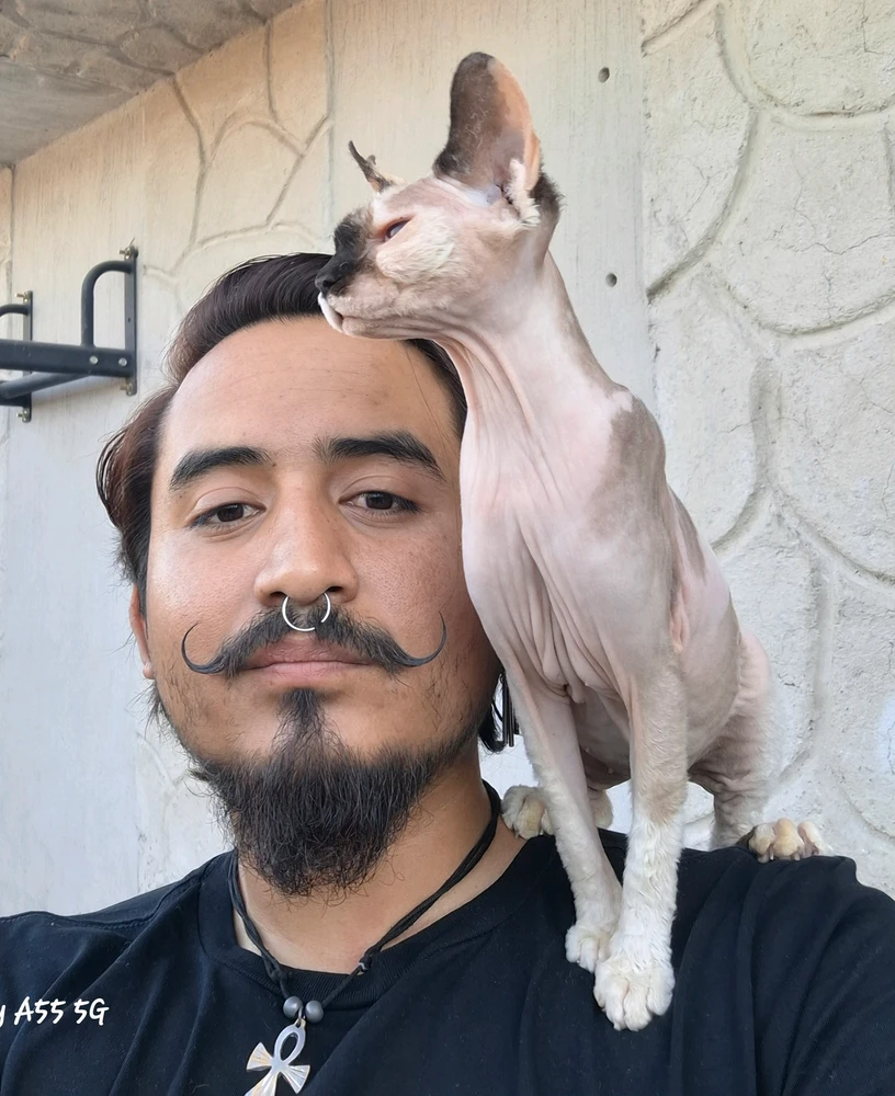 GIF uploaded by Israel
