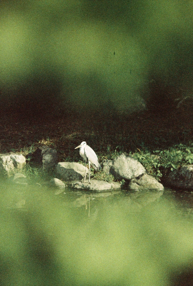 GIF uploaded by Quentin