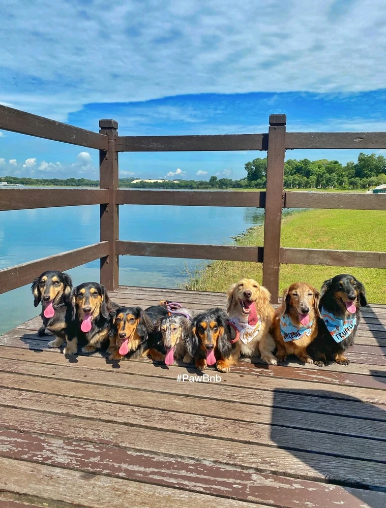 GIF uploaded by Missy-J