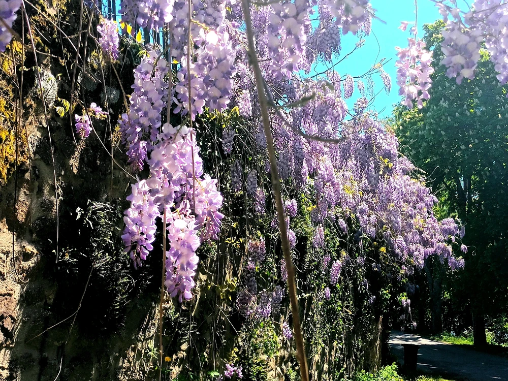 Image ajoutée par Cymoriel🦋