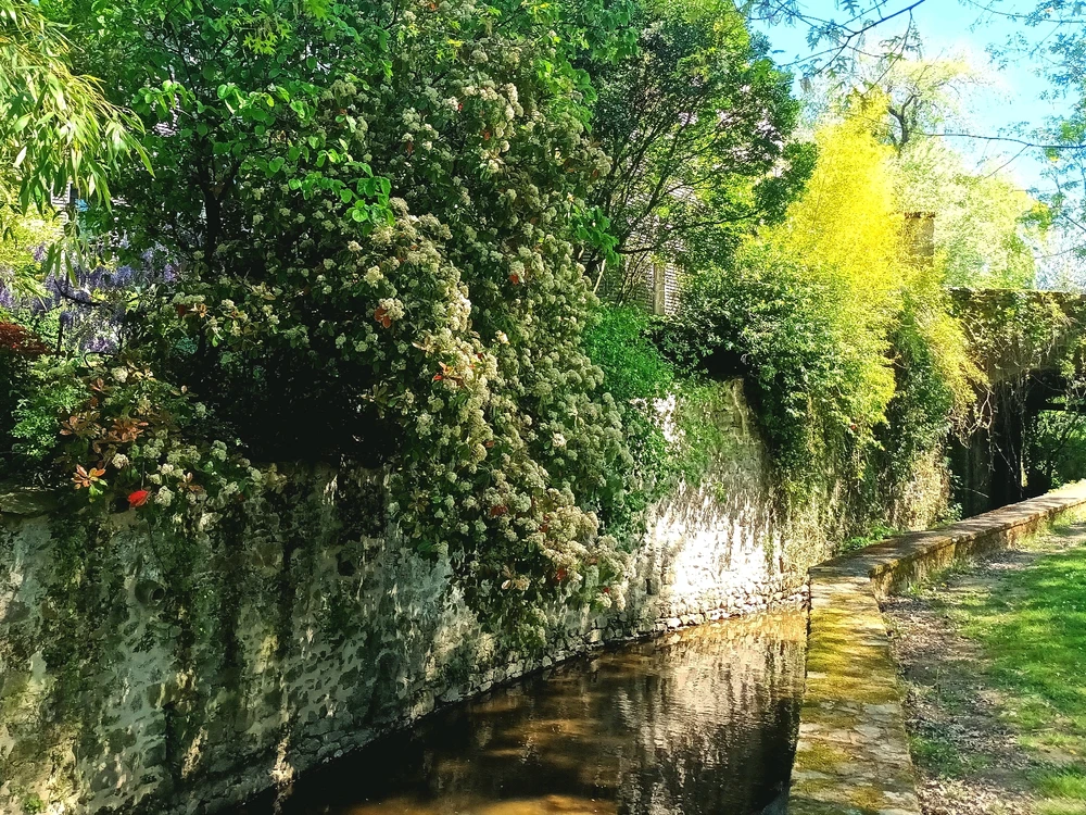 Image ajoutée par Cymoriel🦋