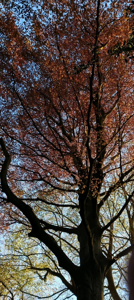 GIF uploaded by Melody