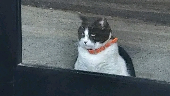 GIF uploaded by Hana