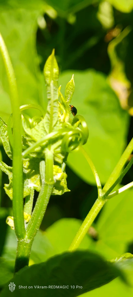 GIF uploaded by Vikram