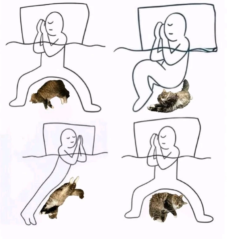 GIF uploaded by Nada