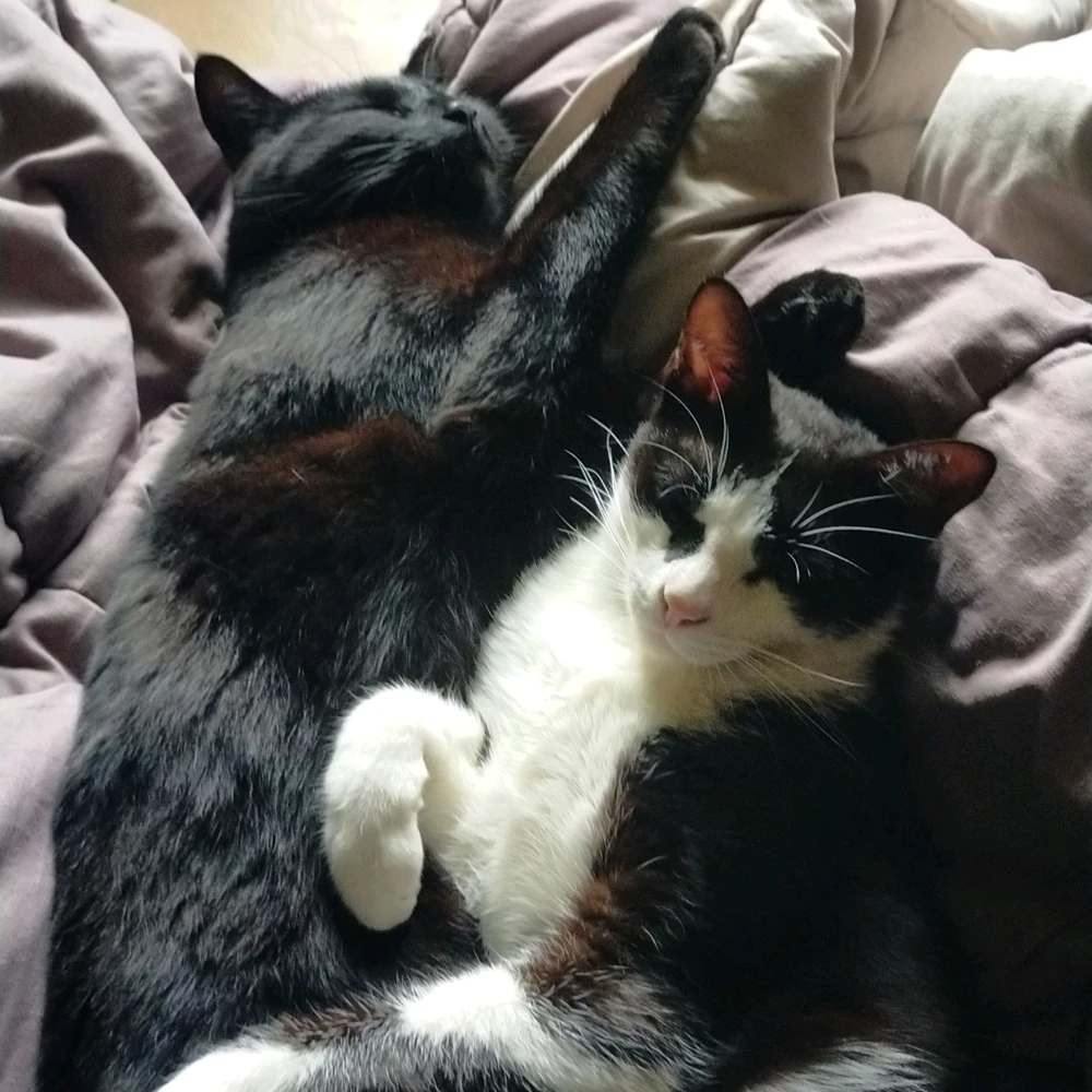 Image uploaded by Lou