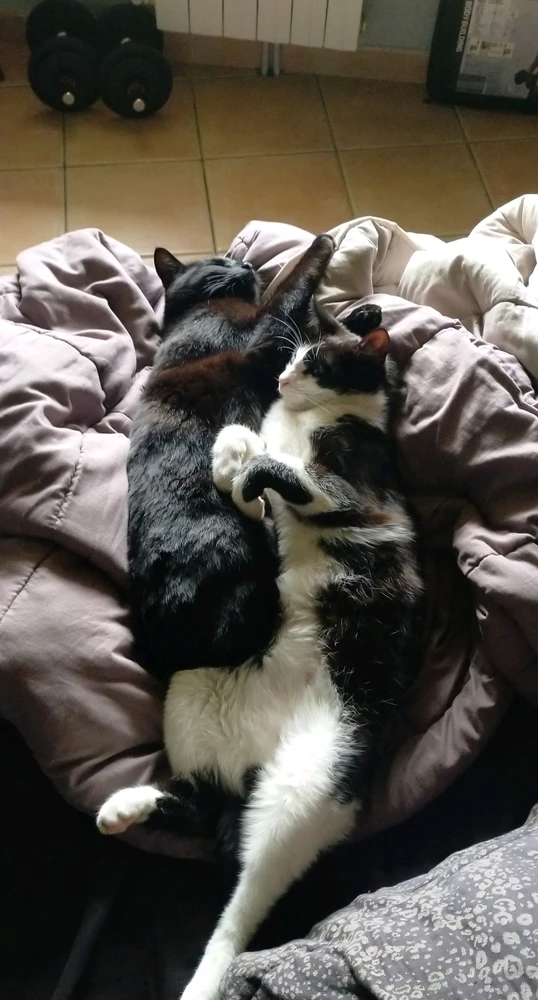 Image uploaded by Lou