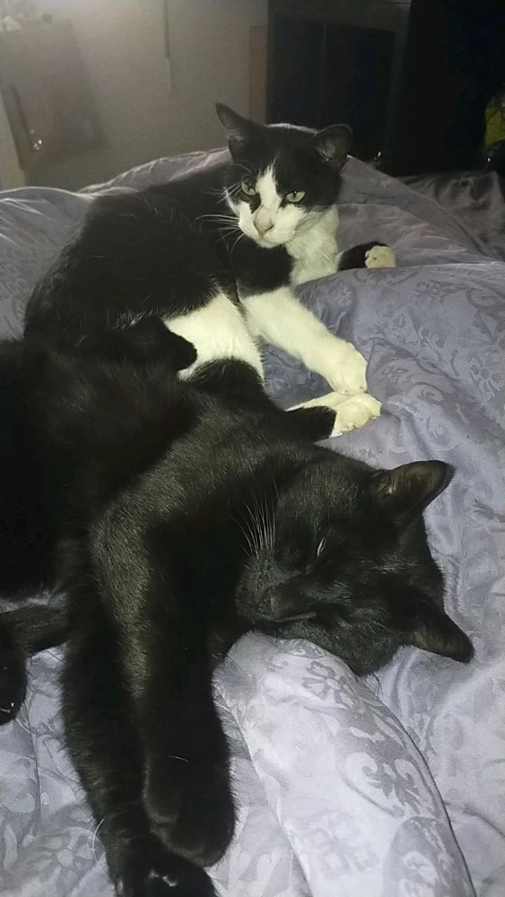 Image uploaded by Lou