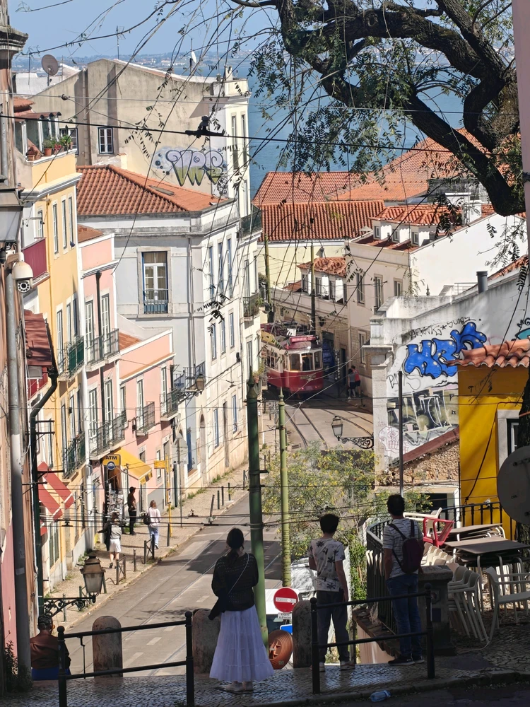 Nelson tərəfindən yüklənən şəkil