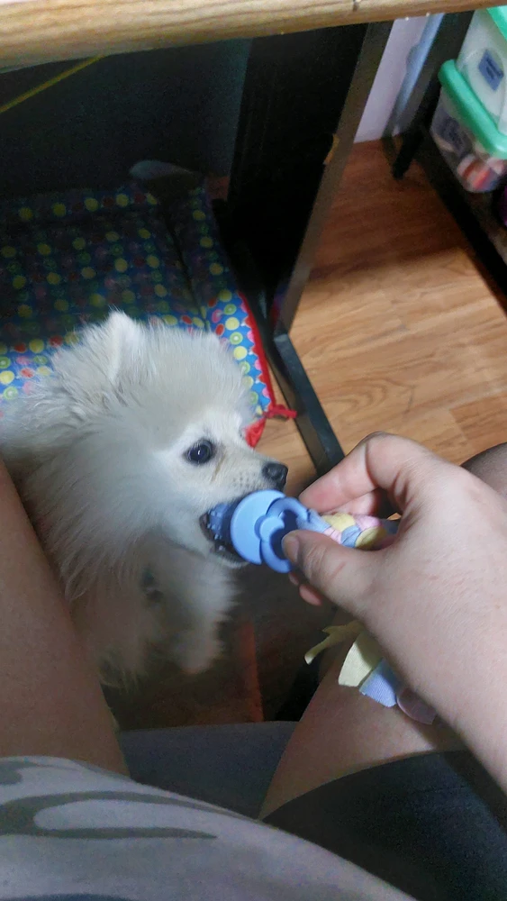 GIF subido por Naomy