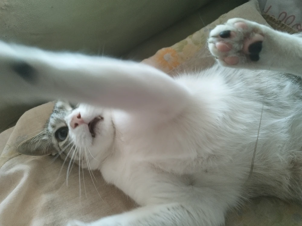 GIF uploaded by JosSant