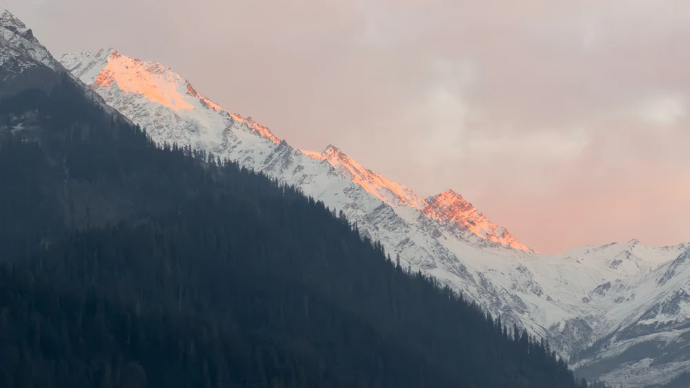 Image uploaded by Jagdish