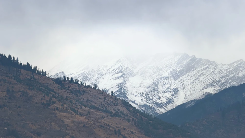 Image uploaded by Jagdish