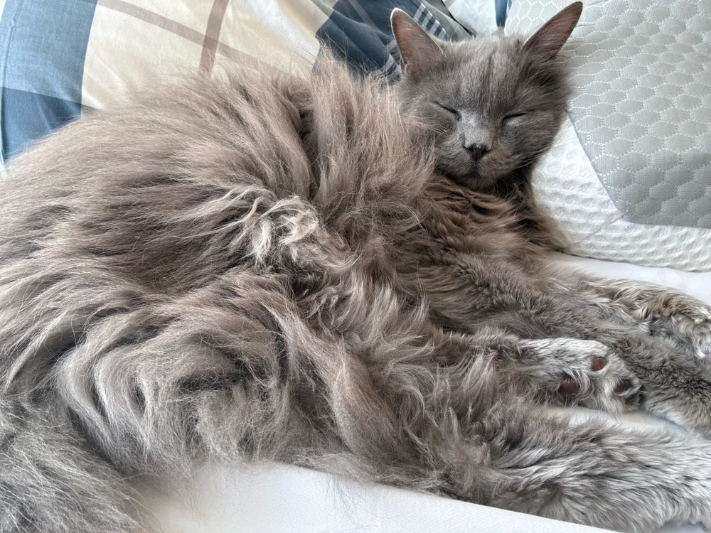 GIF uploaded by Jamie