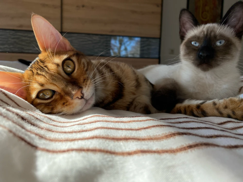 GIF uploaded by Leon