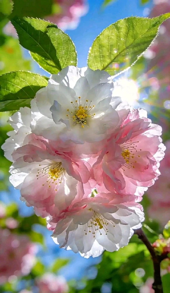 Самуил SamchesterがアップロードしたGIF