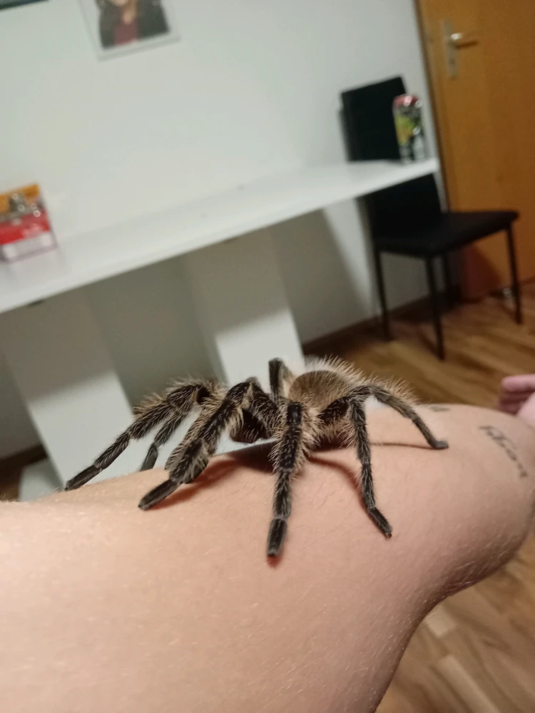 GIF uploaded by Gyuryy