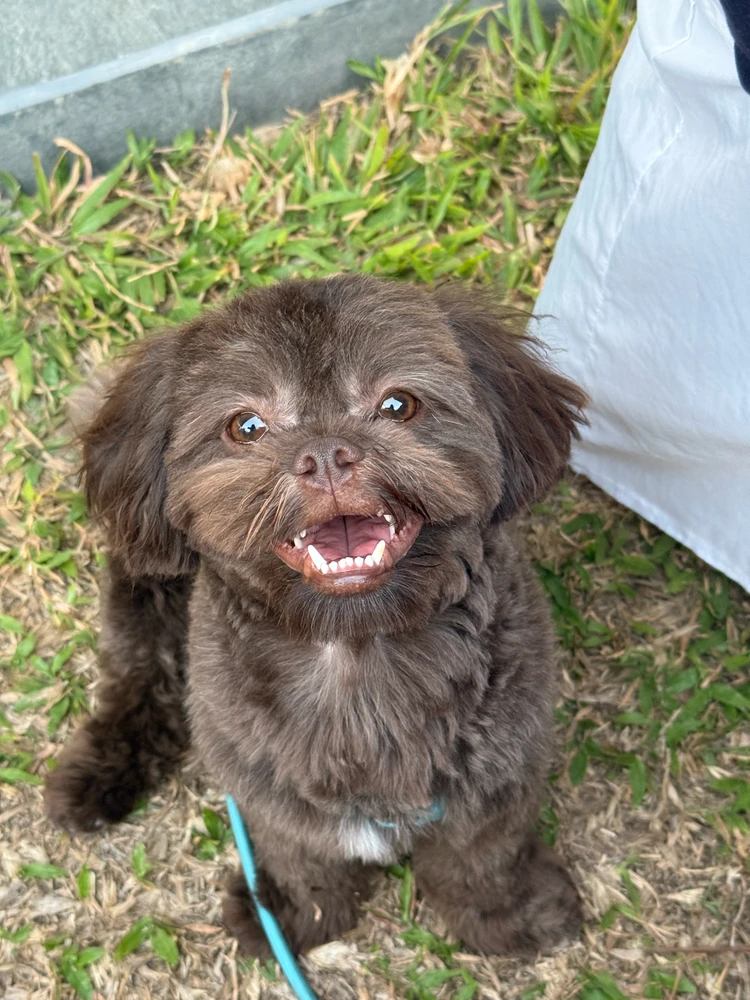 GIF uploaded by Mich
